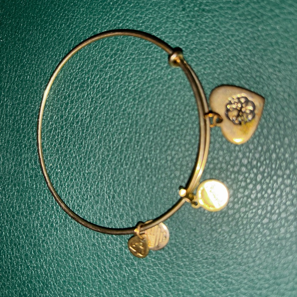 Alex and Ani bracelet